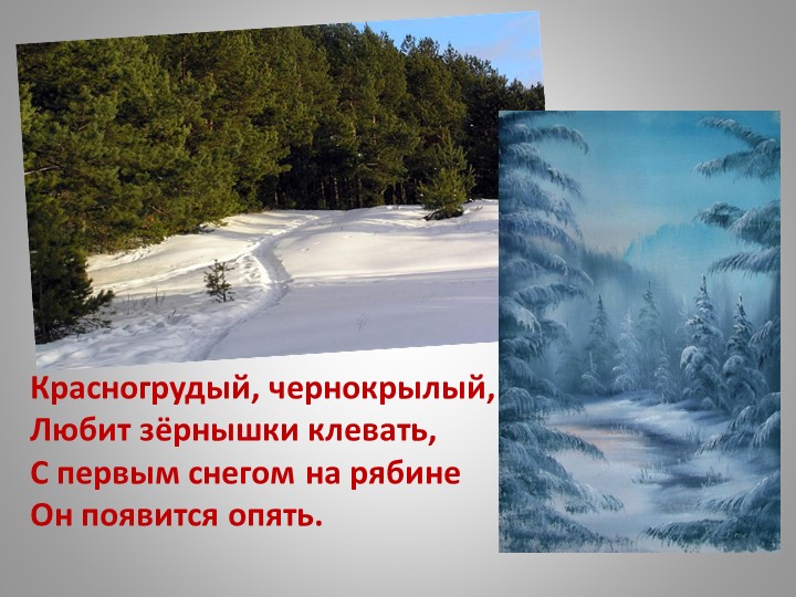 Презентация "Зимующие птицы Кузбасса"