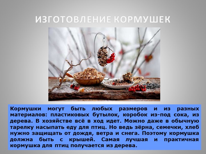 Презентация "Зимующие птицы Кузбасса"