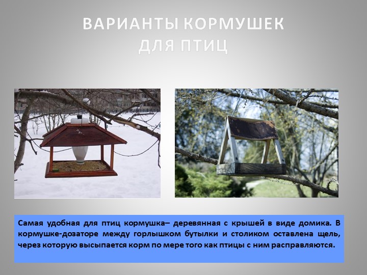 Презентация "Зимующие птицы Кузбасса"