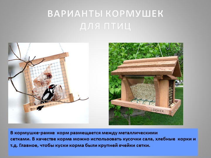 Презентация "Зимующие птицы Кузбасса"