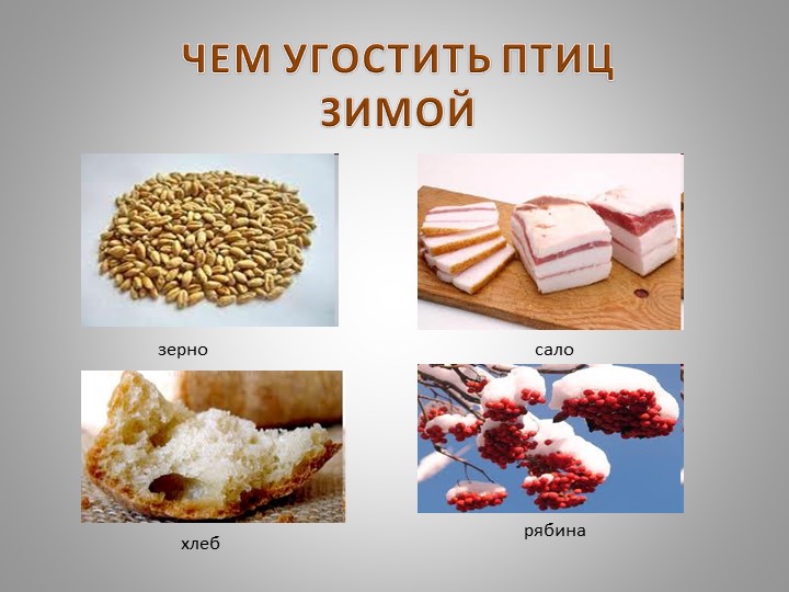 Презентация "Зимующие птицы Кузбасса"