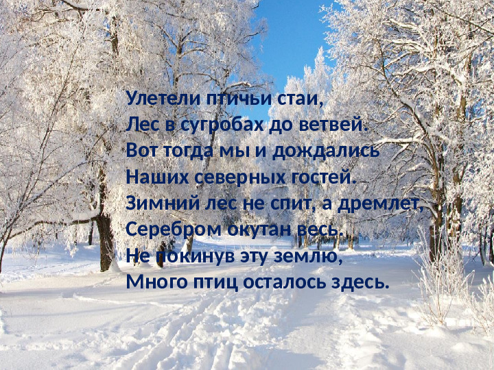 Презентация по ознакомлению с окружающим миром на тему "Зимующие птицы"