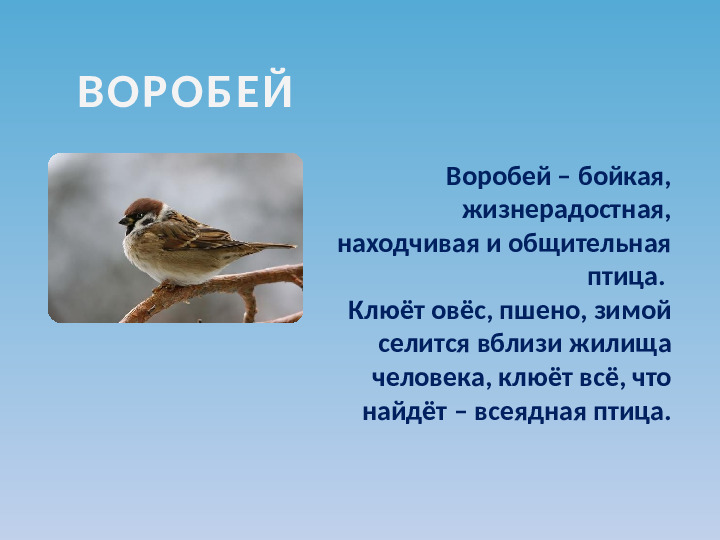Презентация по ознакомлению с окружающим миром на тему "Зимующие птицы"