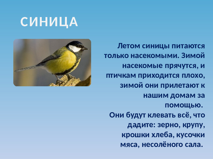 Презентация по ознакомлению с окружающим миром на тему "Зимующие птицы"