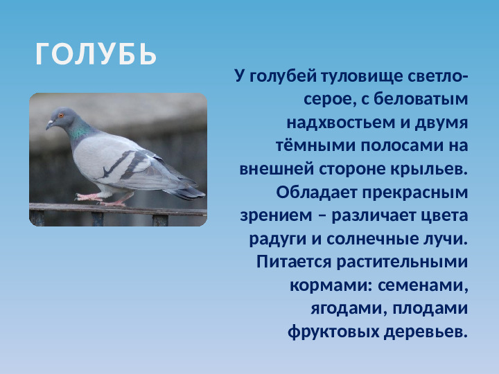 Презентация по ознакомлению с окружающим миром на тему "Зимующие птицы"