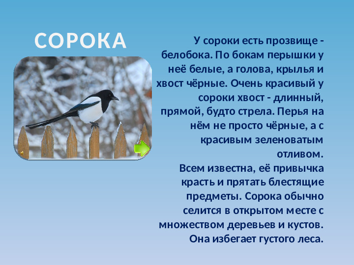 Презентация по ознакомлению с окружающим миром на тему "Зимующие птицы"