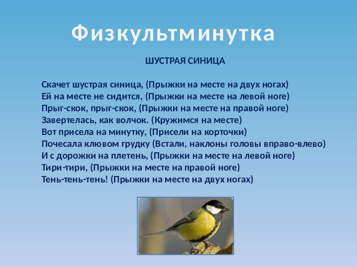 Презентация по ознакомлению с окружающим миром на тему "Зимующие птицы"