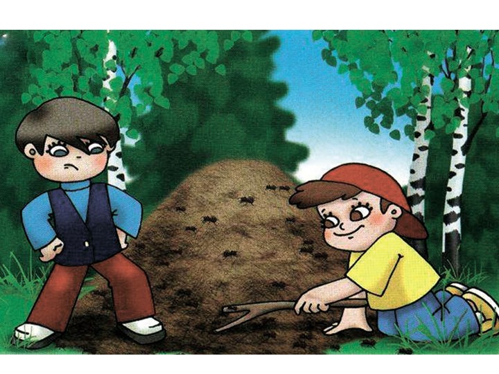 Презентация - по открытому занятию Книга жалоб природы