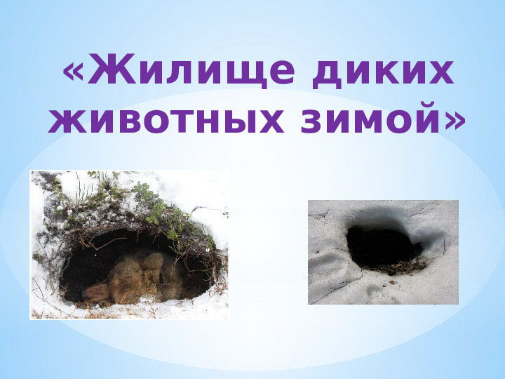 "Жилище диких животных зимой"