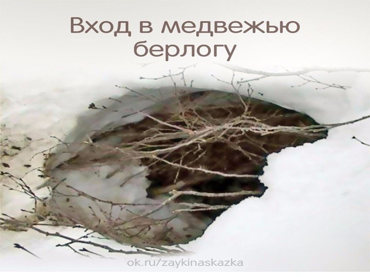 Призентация по ФЦКМ " Как звери в лесу зимуют зимуют "