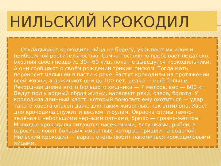 Презентация по познавательному развитию на тему "Животные Африки" (старший дошкольный возраст)