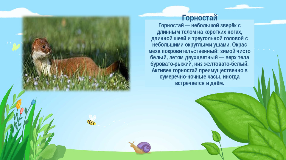 Презентация "Красная книга Подмосковья"