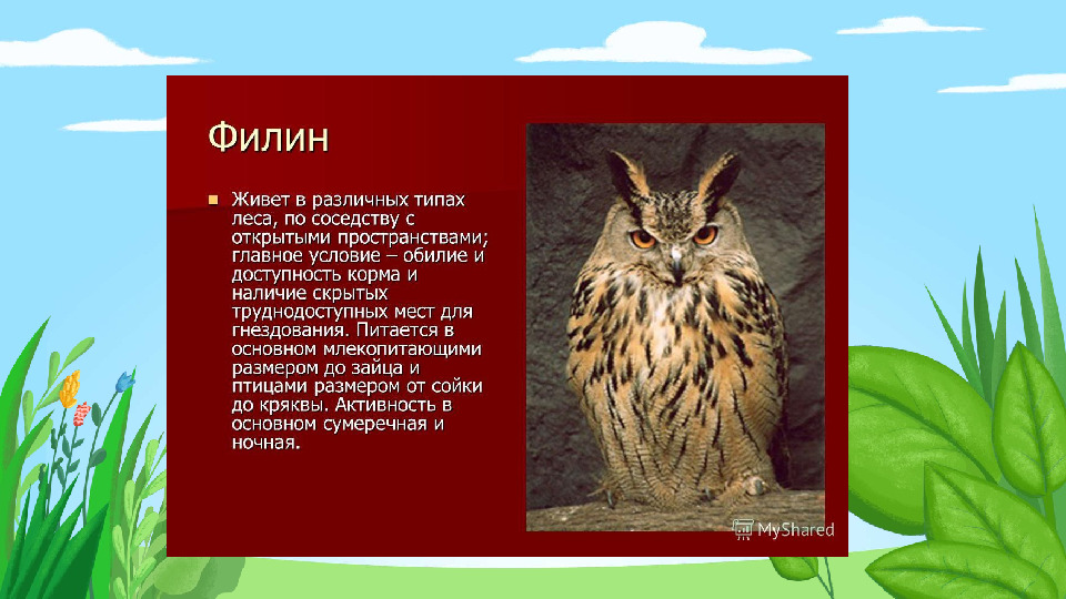 Презентация "Красная книга Подмосковья"
