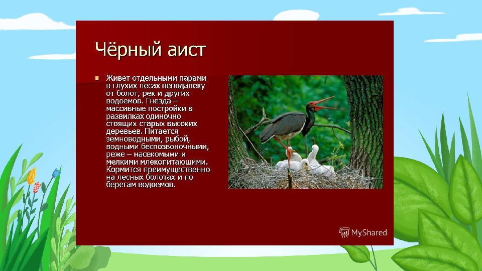 Презентация "Красная книга Подмосковья"