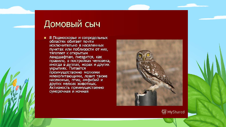 Презентация "Красная книга Подмосковья"