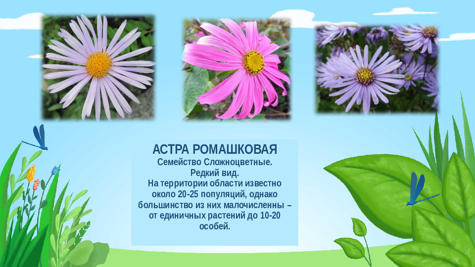 Презентация "Красная книга Подмосковья"