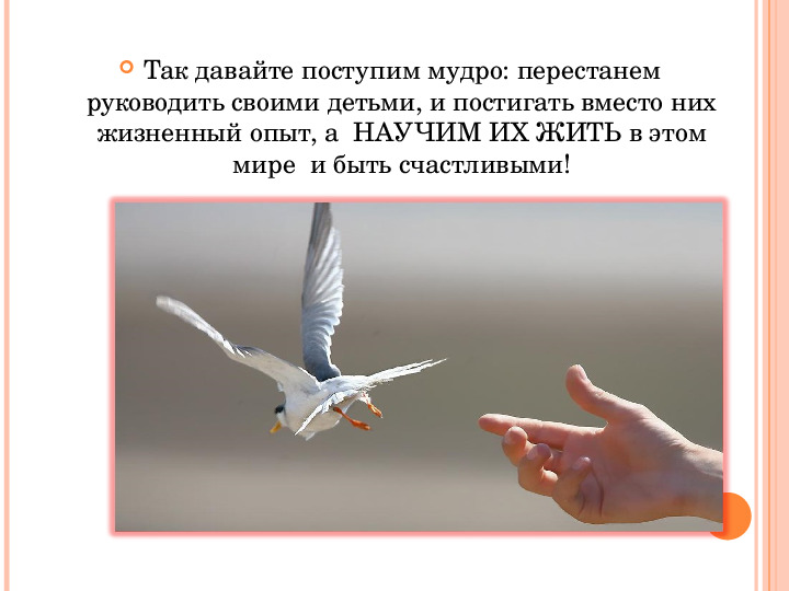 Участие родителей в эмоциональном развитии ребенка