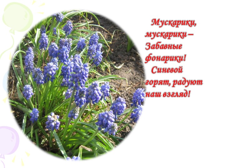 Презентация "Краски природы" к сценарию мероприятия "День цветов"в разновозрастной группе.
