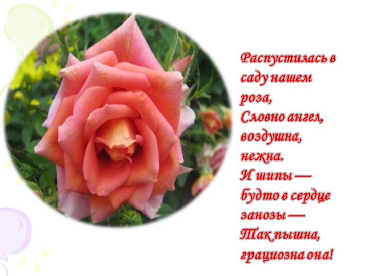 Презентация "Краски природы" к сценарию мероприятия "День цветов"в разновозрастной группе.