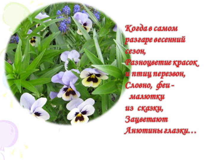 Презентация "Краски природы" к сценарию мероприятия "День цветов"в разновозрастной группе.