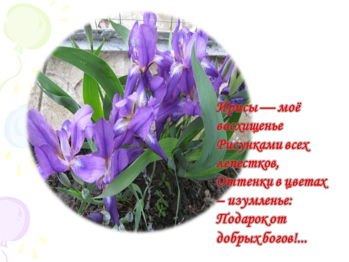 Презентация "Краски природы" к сценарию мероприятия "День цветов"в разновозрастной группе.