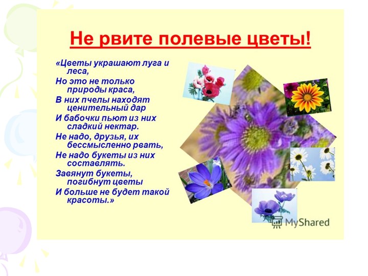 Презентация "Краски природы" к сценарию мероприятия "День цветов"в разновозрастной группе.