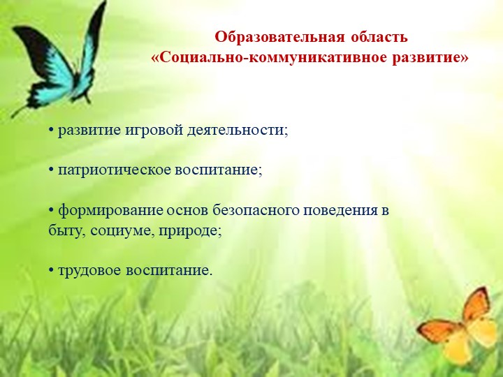 Презентация "Организация деятельности педагога по социально - коммуникативному развитию дошкольника"
