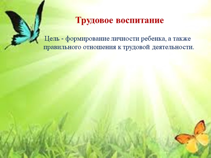 Презентация "Организация деятельности педагога по социально - коммуникативному развитию дошкольника"