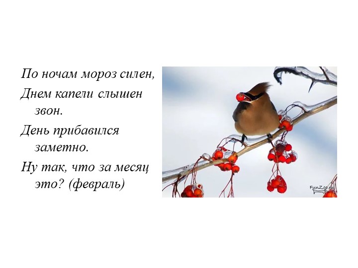 Презентация "Деды Морозы разных стран"