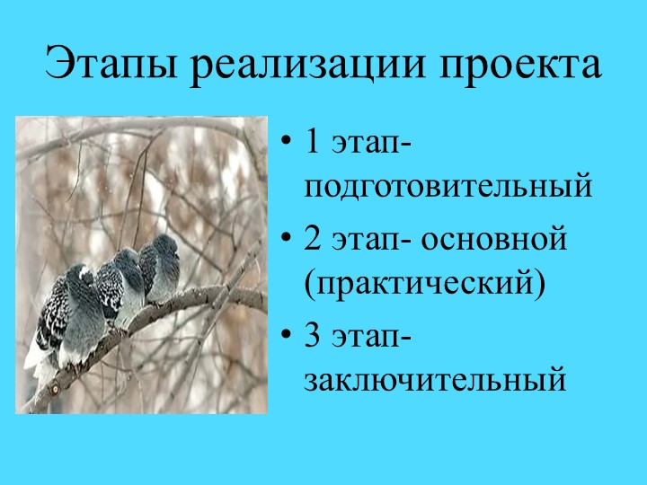 Презентация.Экологический проект"Покормим птиц зимой"