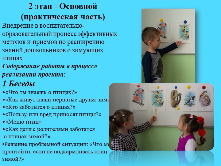 Презентация.Экологический проект"Покормим птиц зимой"