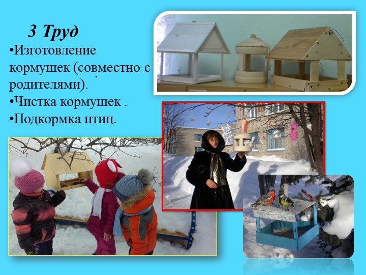 Презентация.Экологический проект"Покормим птиц зимой"