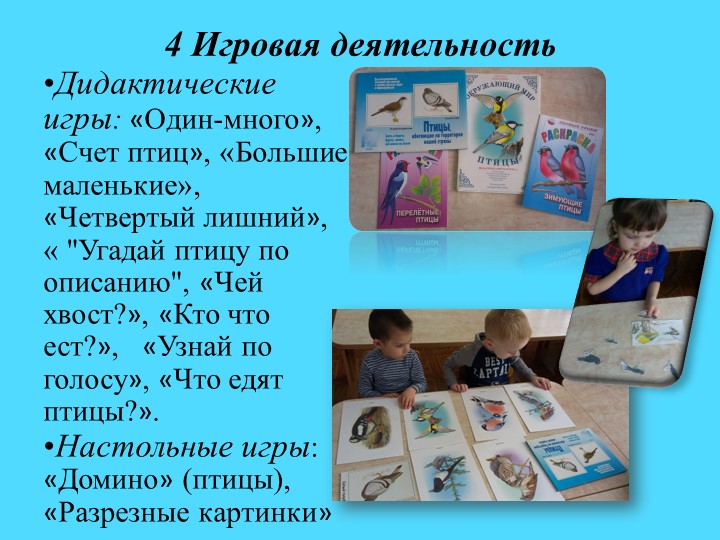 Презентация.Экологический проект"Покормим птиц зимой"