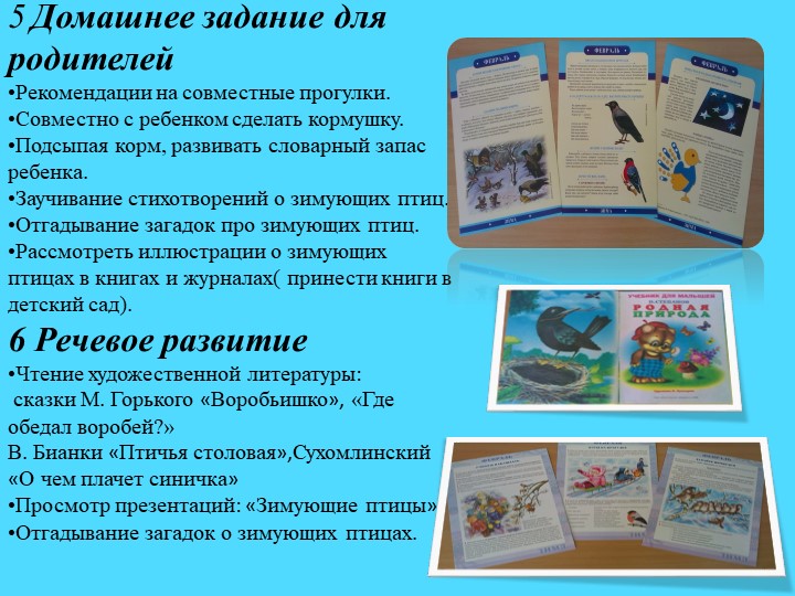 Презентация.Экологический проект"Покормим птиц зимой"