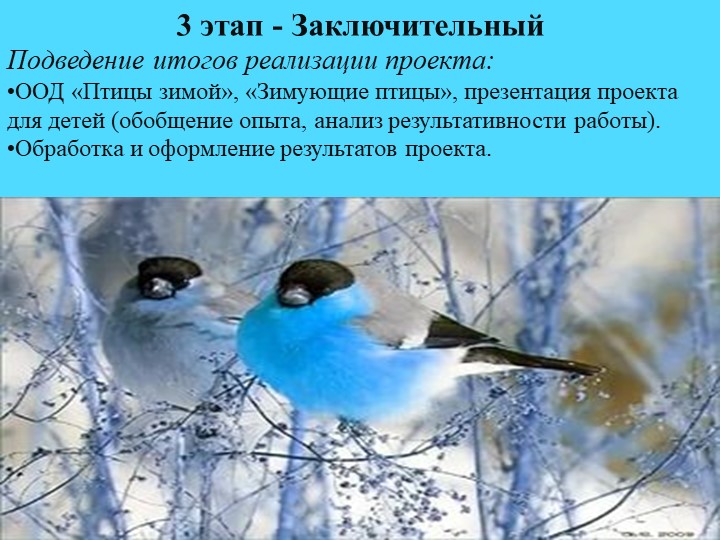 Презентация.Экологический проект"Покормим птиц зимой"