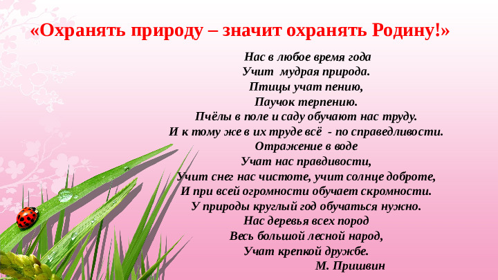 Опыт работы «Экологическое воспитание дошкольников»