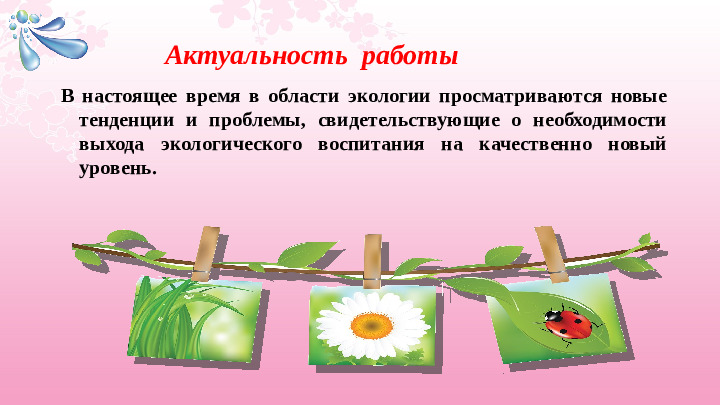Опыт работы «Экологическое воспитание дошкольников»