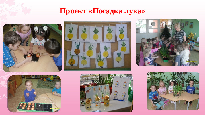 Опыт работы «Экологическое воспитание дошкольников»