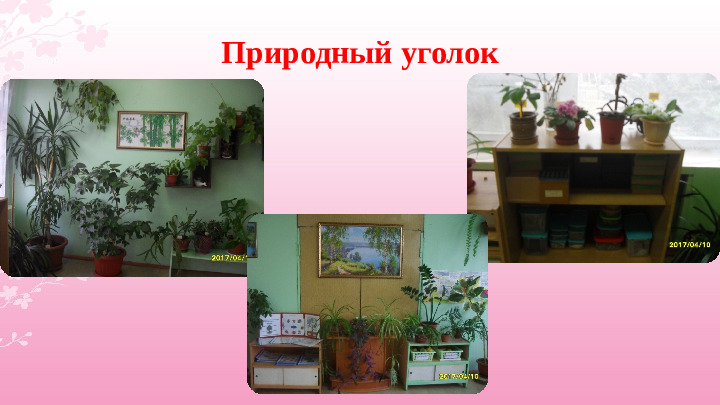 Опыт работы «Экологическое воспитание дошкольников»