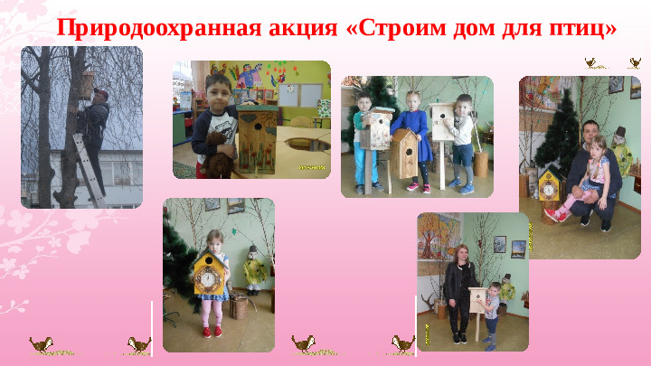 Опыт работы «Экологическое воспитание дошкольников»