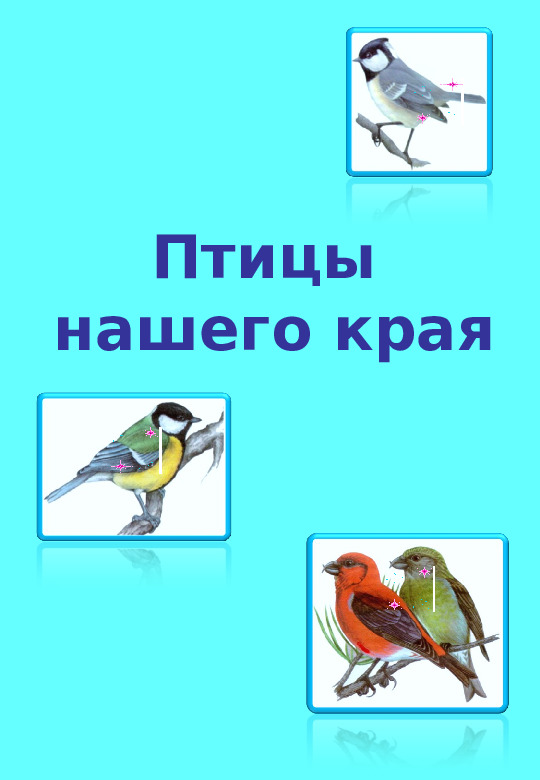 Презентация "Птицы нашего края "