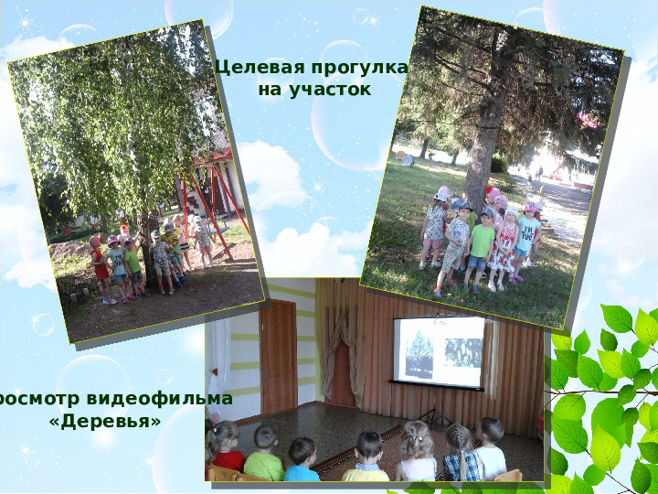 Презентация проекта Деревья нашего участка" ( вторая младшая группа)