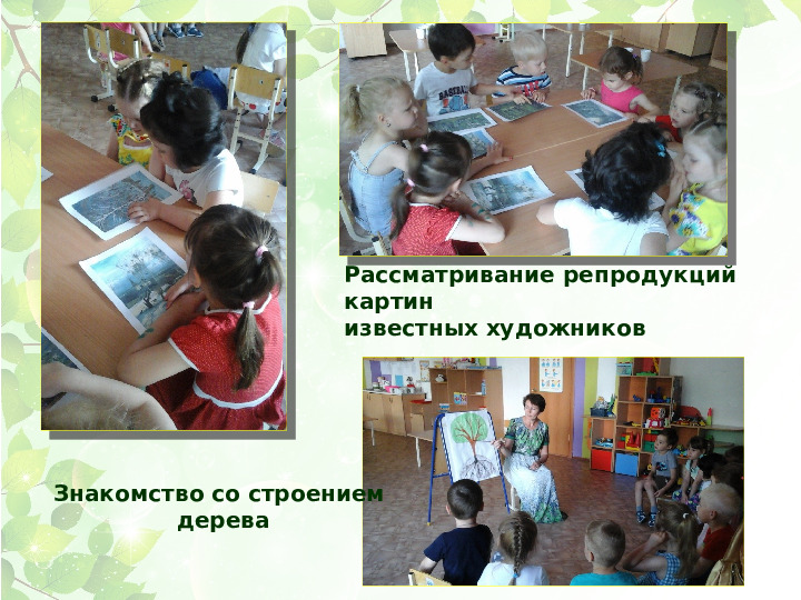Презентация проекта Деревья нашего участка" ( вторая младшая группа)