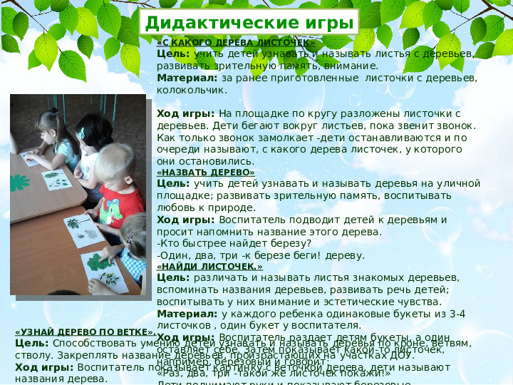 Презентация проекта Деревья нашего участка" ( вторая младшая группа)