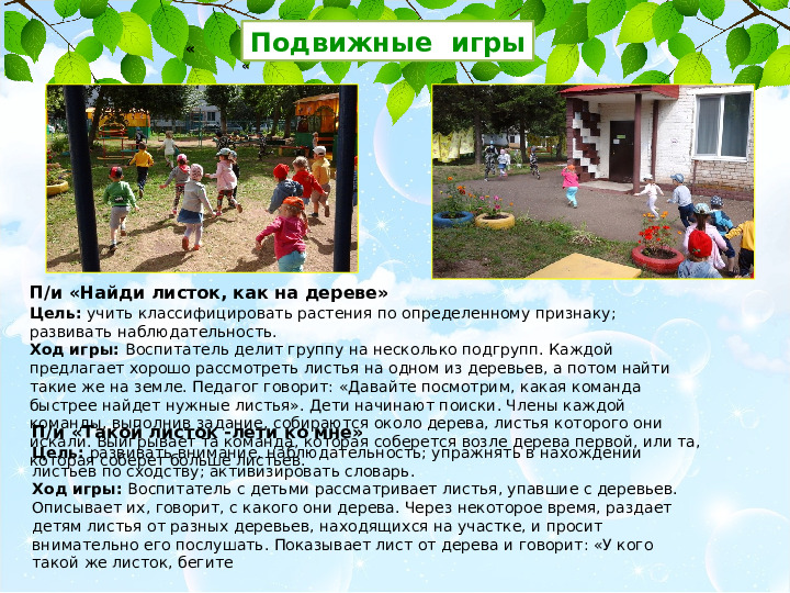 Презентация проекта Деревья нашего участка" ( вторая младшая группа)
