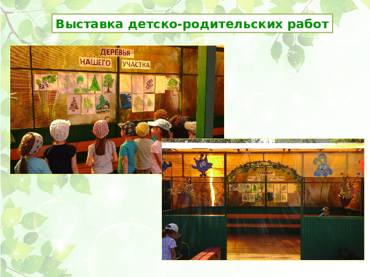 Презентация проекта Деревья нашего участка" ( вторая младшая группа)