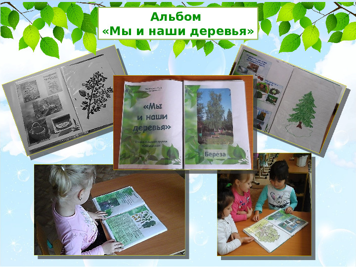 Презентация проекта Деревья нашего участка" ( вторая младшая группа)
