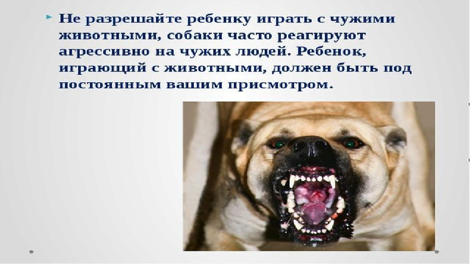 Презентация "Азбука безопасности детей"