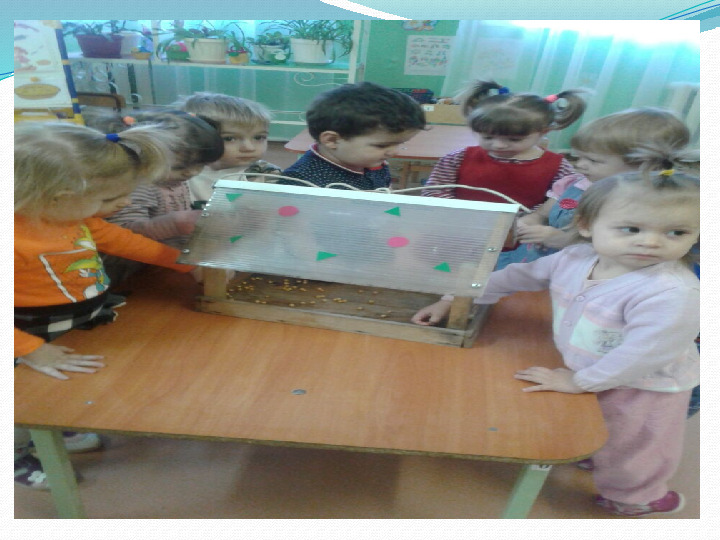 Проект в группе раннего возраста "Зимующие птицы"