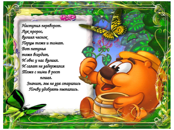 Презентация "Огород на окне"